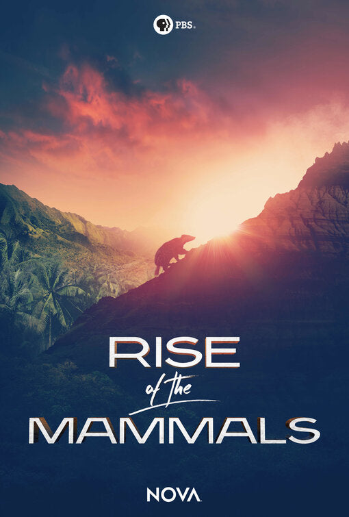 1000 piece jigsaw puzzle for tv poster: Rise of the Mammals