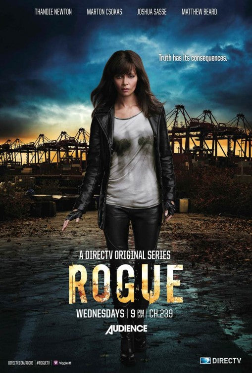 1000 piece jigsaw puzzle for tv poster: Rogue