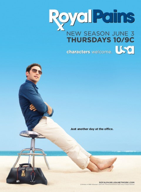 1000 piece jigsaw puzzle for tv poster: Royal Pains, ver3