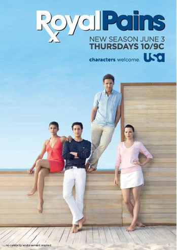 1000 piece jigsaw puzzle for tv poster: Royal Pains, ver4