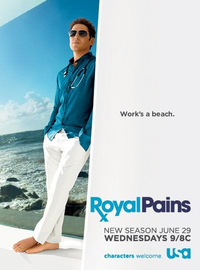 1000 piece jigsaw puzzle for tv poster: Royal Pains, ver5
