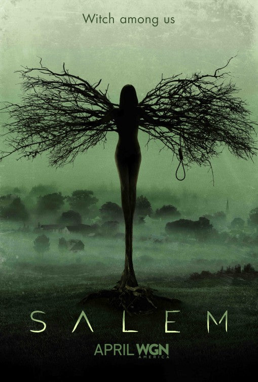 1000 piece jigsaw puzzle for tv poster: Salem