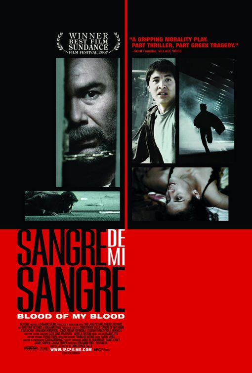 the movie poster: Sangre de mi sangre (2008)