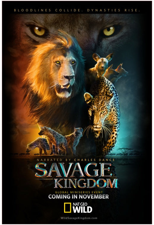 1000 piece jigsaw puzzle for tv poster: Savage Kingdom