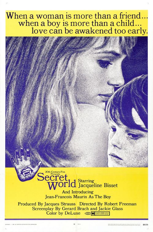the movie poster: Secret World (1969)