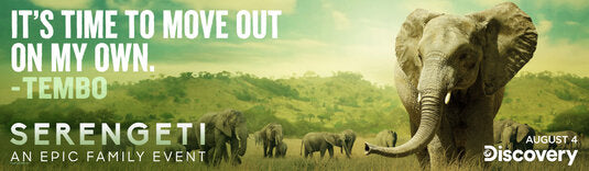 1000 piece jigsaw puzzle for tv poster: Serengeti, ver3