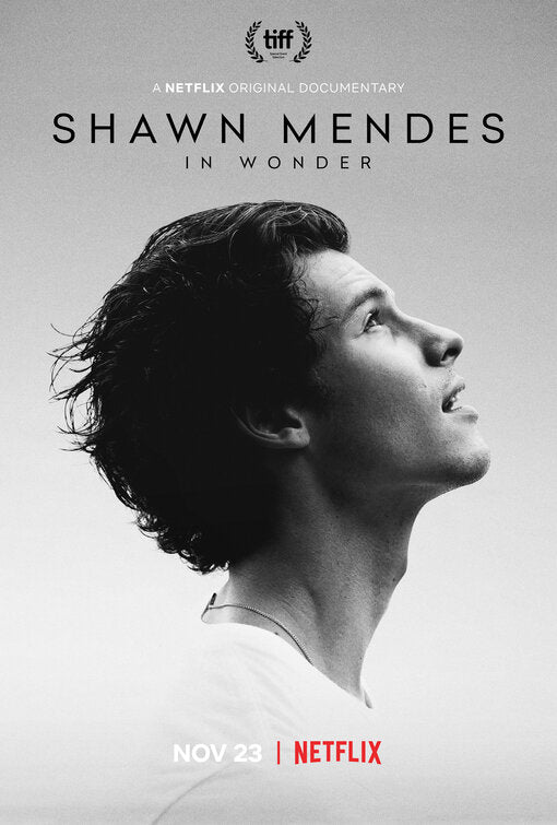1000 piece jigsaw puzzle for tv poster: Shawn Mendes in Wonder