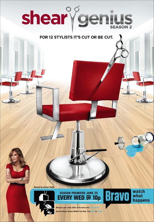 1000 piece jigsaw puzzle for tv poster: Shear Genius
