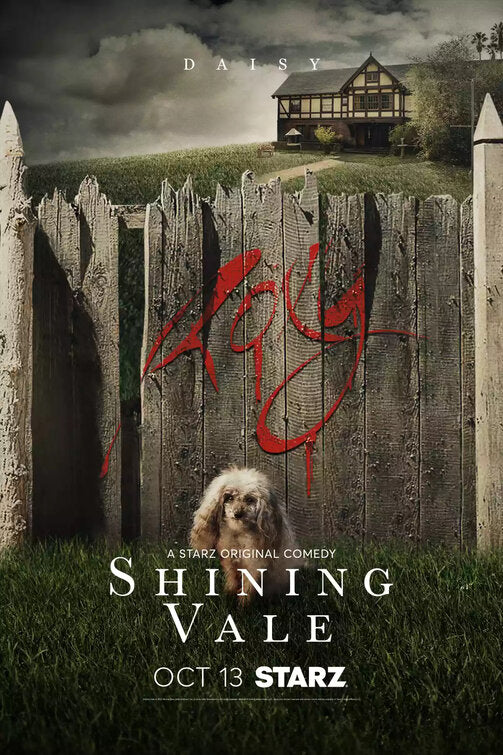 1000 piece jigsaw puzzle for tv poster: Shining Vale, ver10
