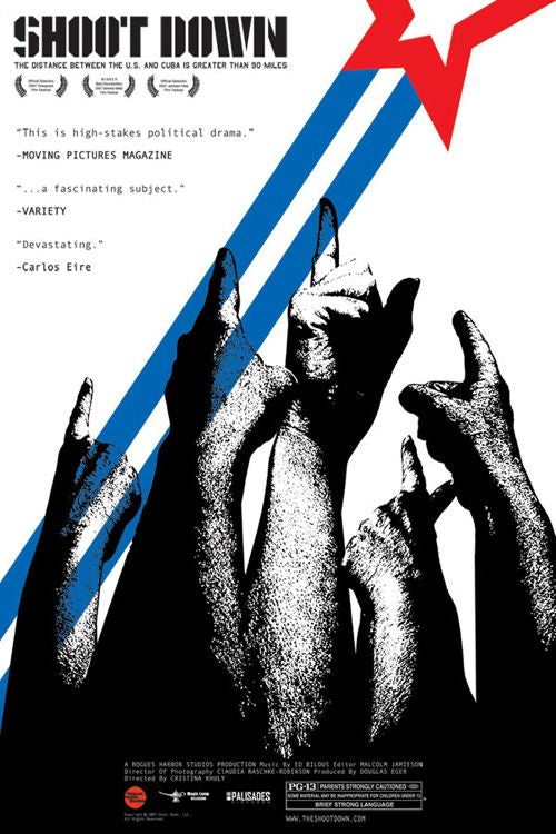 the movie poster: Shoot Down (2008)
