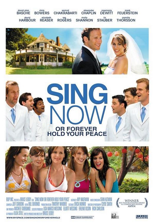 the movie poster: Sing Now or Forever Hold Your Peace (2007)
