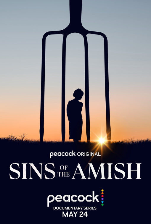 1000 piece jigsaw puzzle for tv poster: Sins of the Amish