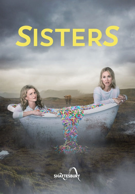 1000 piece jigsaw puzzle for tv poster: SisterS