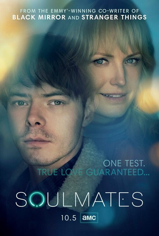 1000 piece jigsaw puzzle for tv poster: Soulmates, ver5