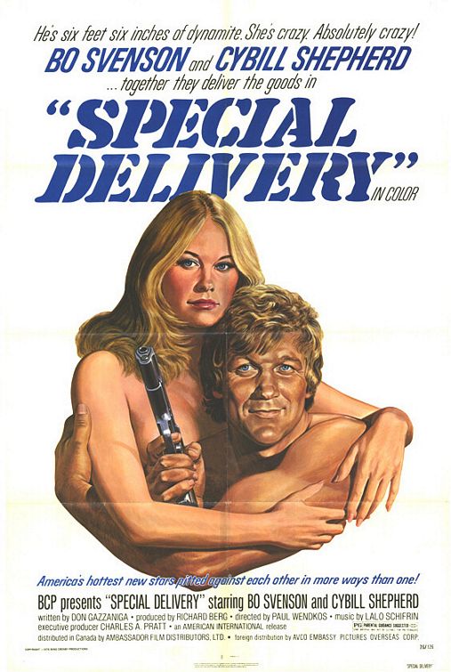 the movie poster: Special Delivery (1976)