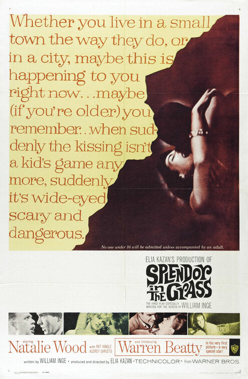1000 piece jigsaw puzzle for the movie poster: Splendor in the Grass (1961)
