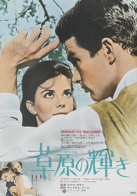 1000 piece jigsaw puzzle for the movie poster: Splendor in the Grass (1961) ver2