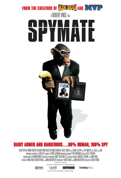 the movie poster: Spymate (2006)