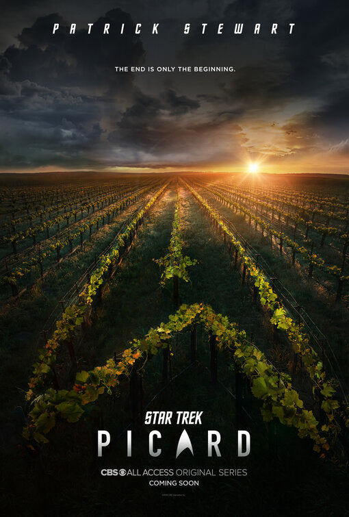 1000 piece jigsaw puzzle for tv poster: Star Trek: Picard