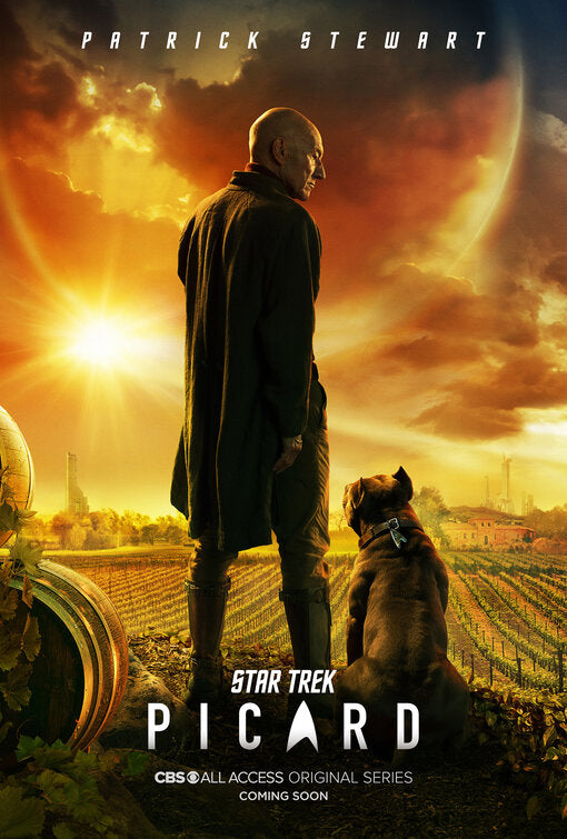 1000 piece jigsaw puzzle for tv poster: Star Trek: Picard, ver2