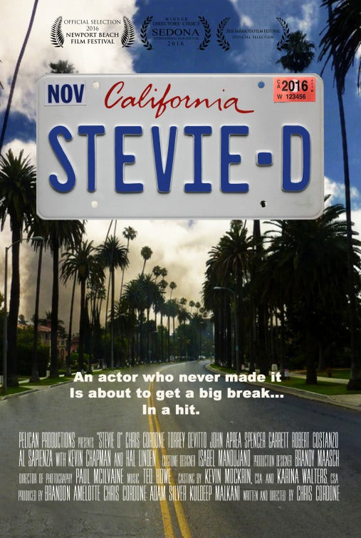 1000 piece jigsaw puzzle for the movie poster: Stevie D (2016)