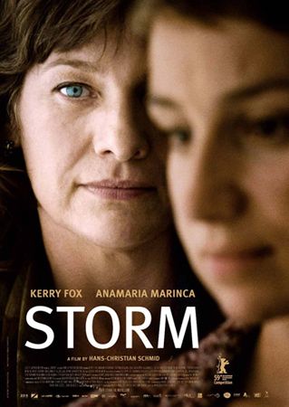 1000 piece jigsaw puzzle for the movie poster: Storm (2009)