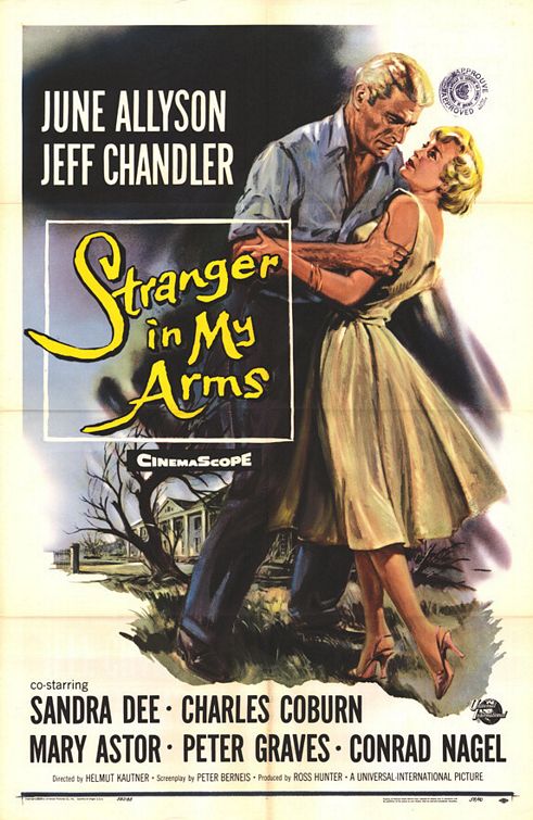 the movie poster: A Stranger in My Arms (1959)