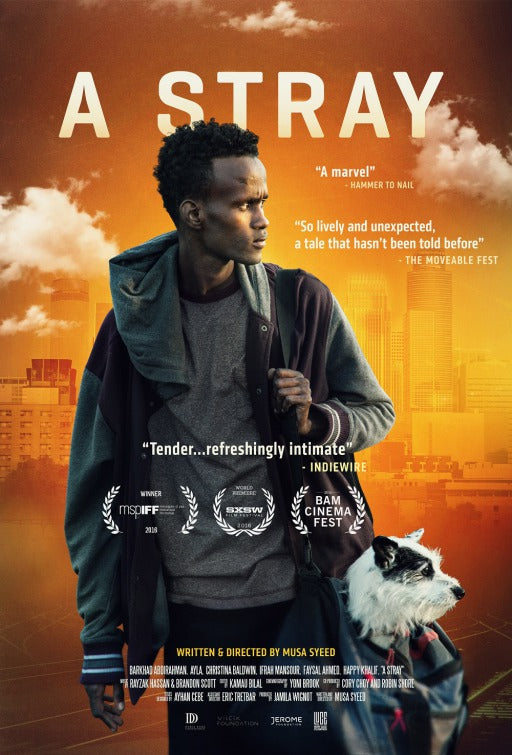 1000 piece jigsaw puzzle for the movie poster: A Stray (2016)
