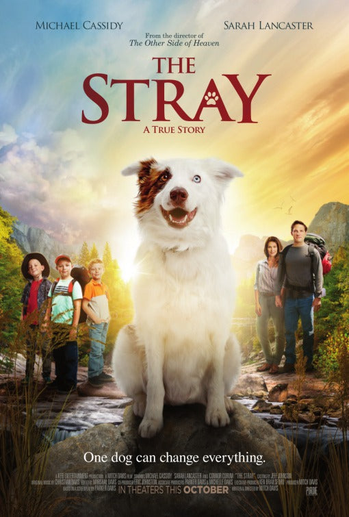 1000 piece jigsaw puzzle for the movie poster: The Stray (2017)