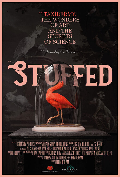1000 piece jigsaw puzzle for the movie poster: Stuffed (2019)