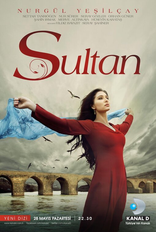1000 piece jigsaw puzzle for tv poster: Sultan