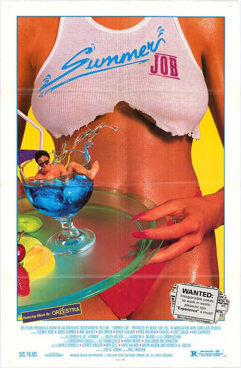 1000 piece jigsaw puzzle for the movie poster: Summer Job (1989)