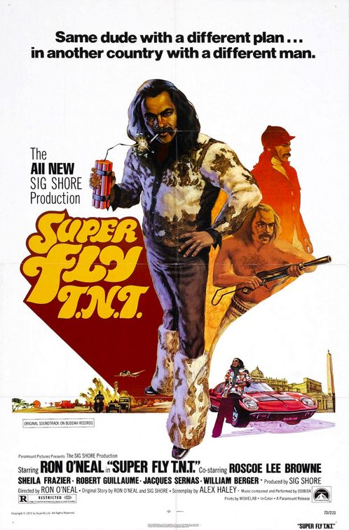 the movie poster: Super Fly T.N.T. (1973)