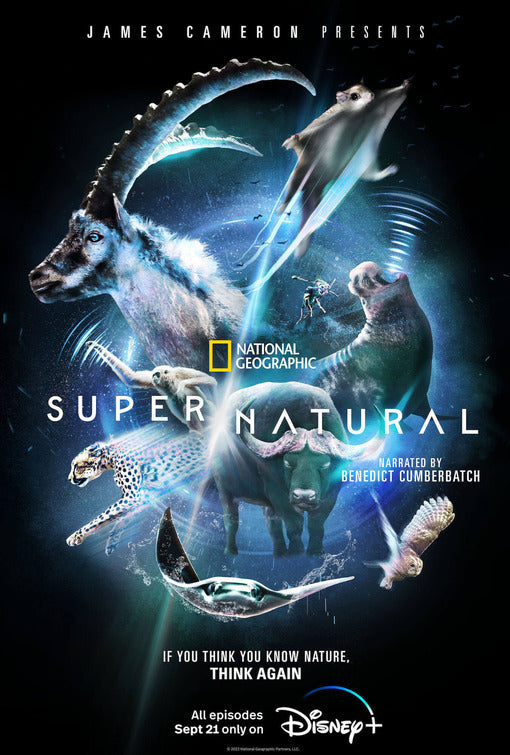 1000 piece jigsaw puzzle for tv poster: Super/Natural