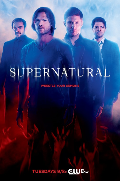 1000 piece jigsaw puzzle for tv poster: Supernatural, ver11