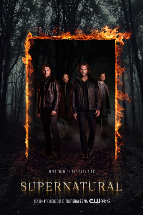 1000 piece jigsaw puzzle for tv poster: Supernatural, ver13