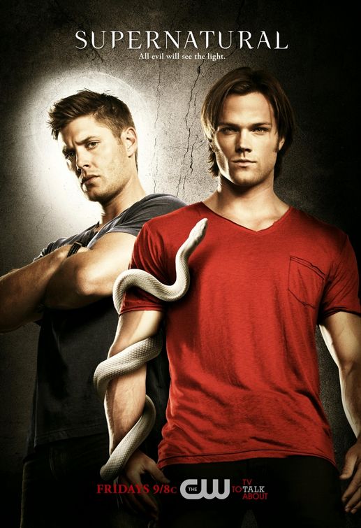 1000 piece jigsaw puzzle for tv poster: Supernatural, ver7