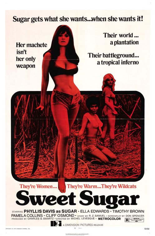 the movie poster: Sweet Sugar (1973)