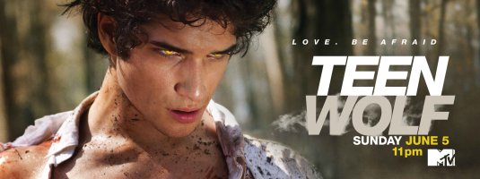 1000 piece jigsaw puzzle for tv poster: Teen Wolf