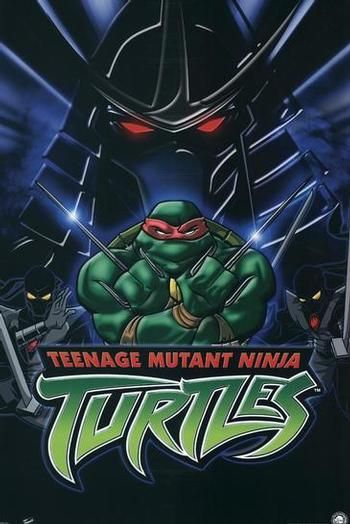 1000 piece jigsaw puzzle for tv poster: Teenage Mutant Ninja Turtles