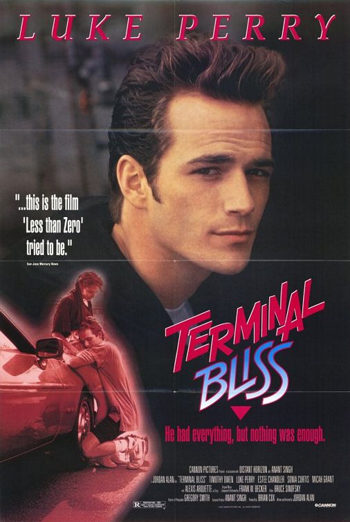 the movie poster: Terminal Bliss (1992)