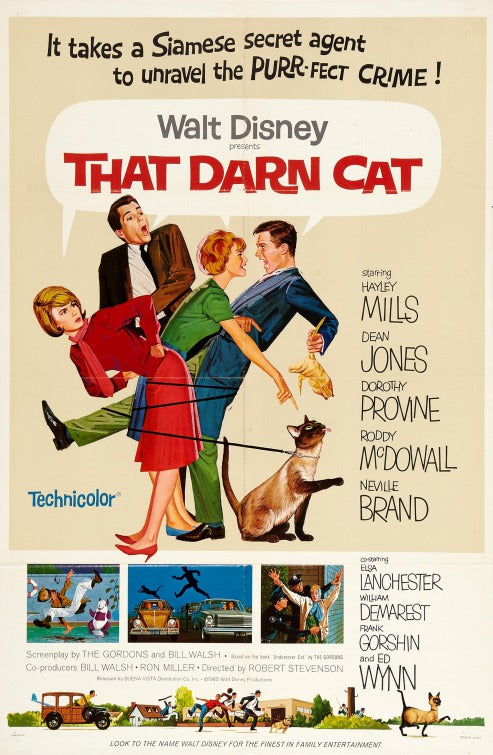 the movie poster: That Darn Cat! (1965)