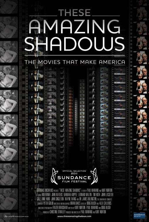 1000 piece jigsaw puzzle for the movie poster: These Amazing Shadows (2011)
