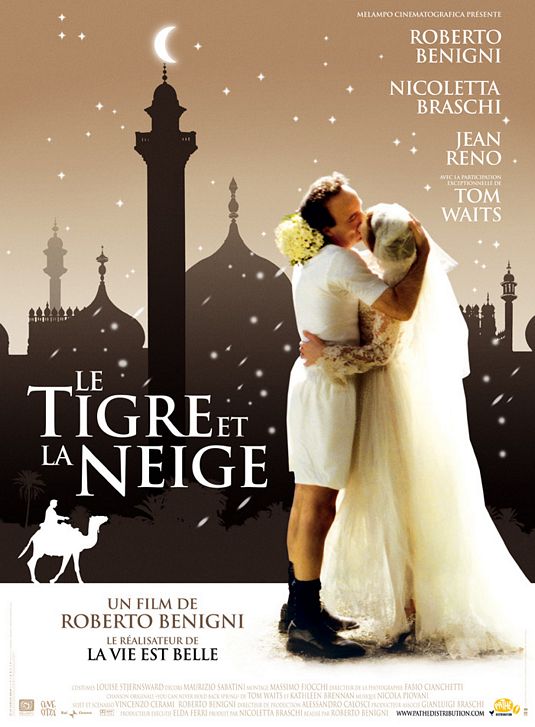 the movie poster: The Tiger and the Snow (2006)