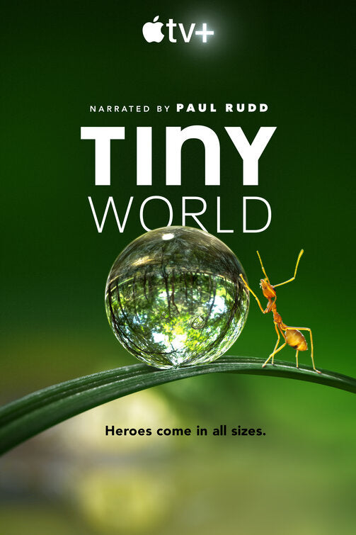 1000 piece jigsaw puzzle for tv poster: Tiny World