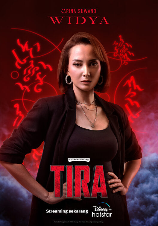 1000 piece jigsaw puzzle for tv poster: Tira, ver9