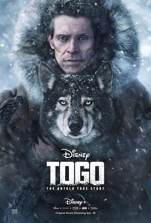 1000 piece jigsaw puzzle for tv poster: Togo