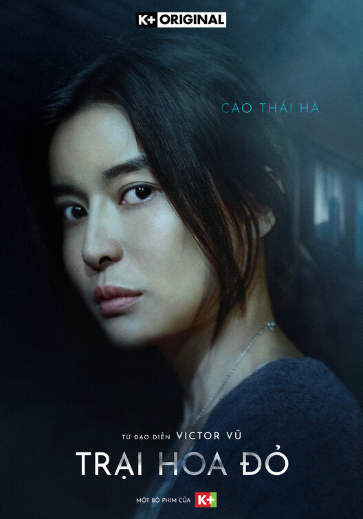 1000 piece jigsaw puzzle for tv poster: Trai Hoa Do, ver6