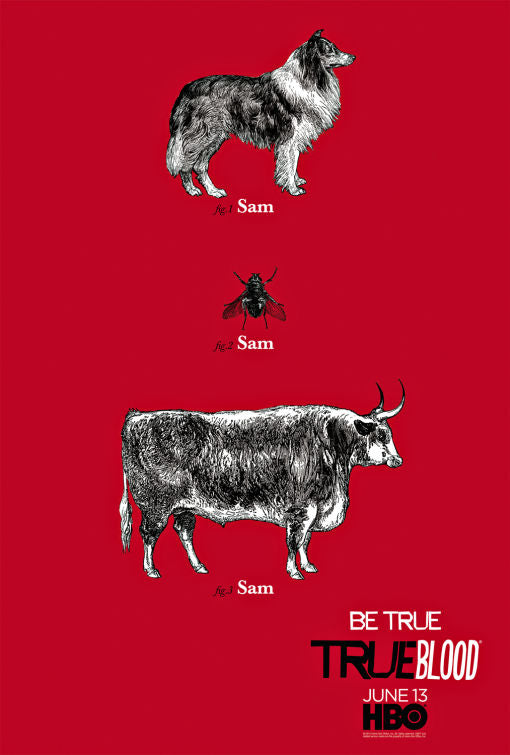 1000 piece jigsaw puzzle for tv poster: True Blood, ver28