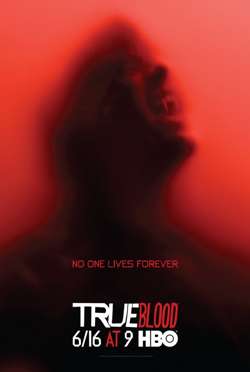 1000 piece jigsaw puzzle for tv poster: True Blood, ver67